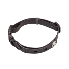 BarkBox Medium Dog Collar