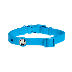 BarkBox Medium Dog Collar