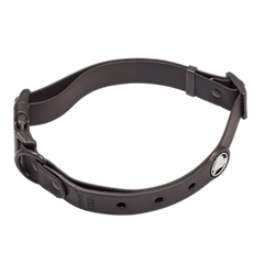 BarkBox Large Dog Collar