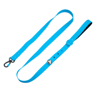 BarkBox Dog Leash