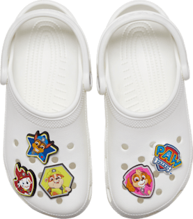 Paw Patrol 5 Pack